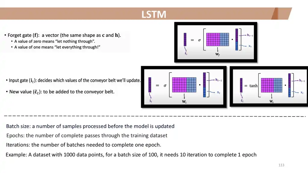 Slide 113 of 177